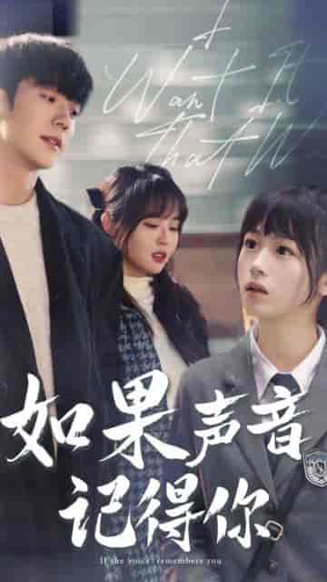 如果声音记得你（长篇）-初遇资源网