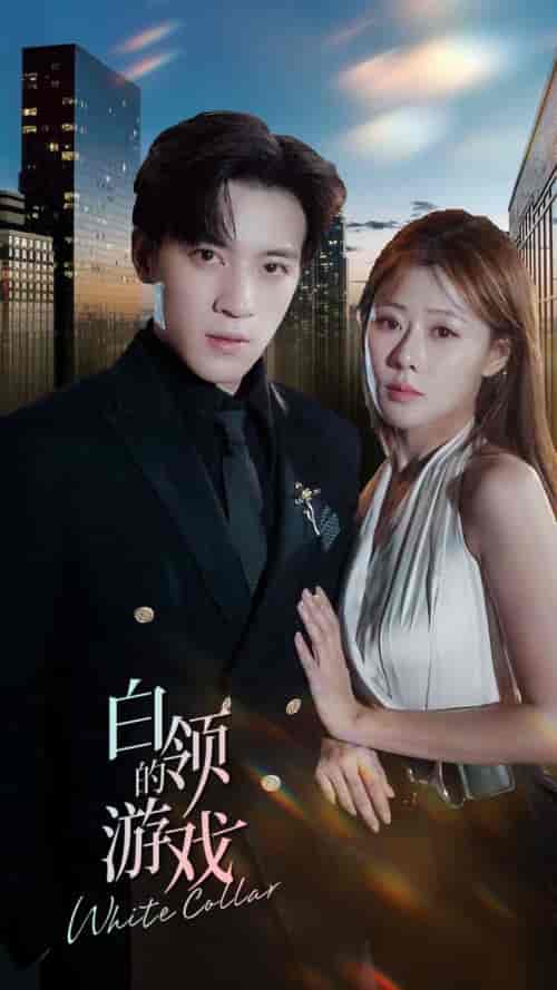 白领的游戏(75集)武鸿蕊-初遇资源网