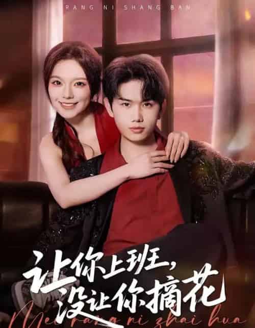 让你上班，没让你摘花（70集全）王凯波＆王若妍＆陈有晴-初遇资源网