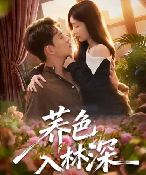 荞色入林深（70集全）罗曼嘉＆胡宏林-初遇资源网