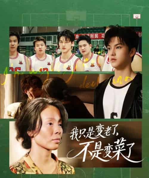 我只是变老了，不是变菜了（60集）-初遇资源网