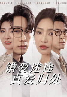 错爱迷途真爱归处(38集全)吴旭东&姚浅馨-初遇资源网