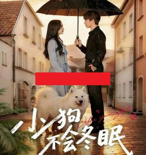 小狗不会冬眠(70集全)张皓文&乔槿-初遇资源网