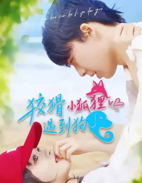 狡猾小狐狸遇到狗（80集全）刘成林＆彭洋洋-初遇资源网