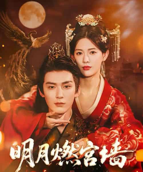 明月燃宫墙（60集全）常喆宽＆姜钰佳-初遇资源网