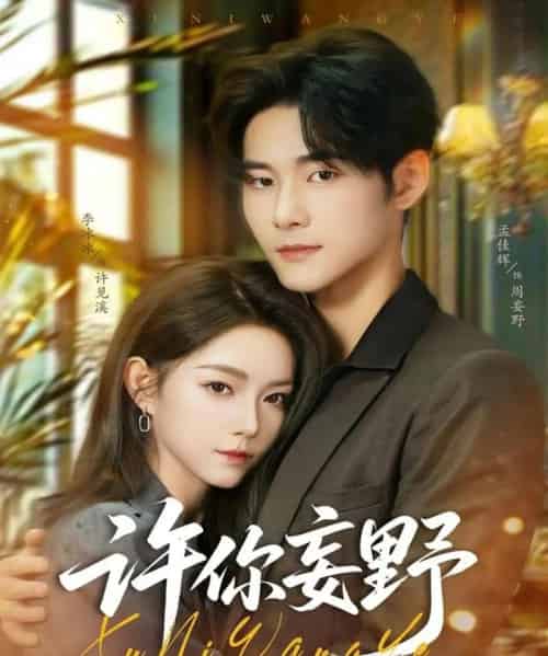 许你妄野（80集全）孟佳辉＆李冰冰-初遇资源网