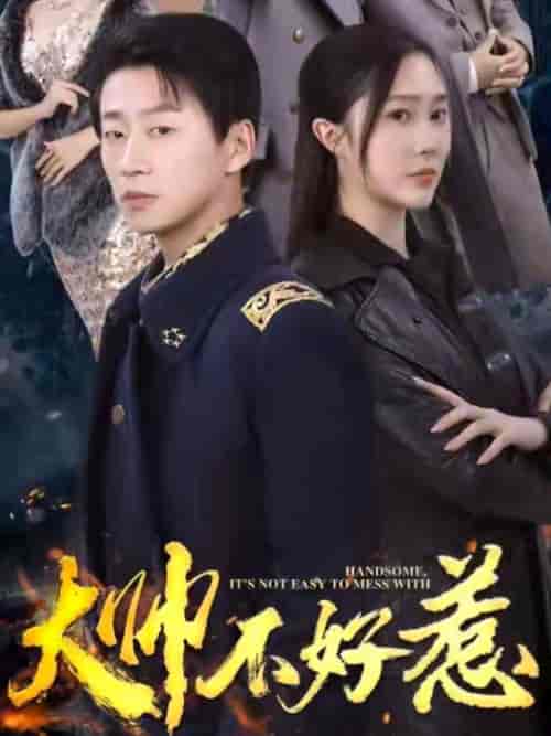 大帅不好惹（79集）樊纾宁-初遇资源网