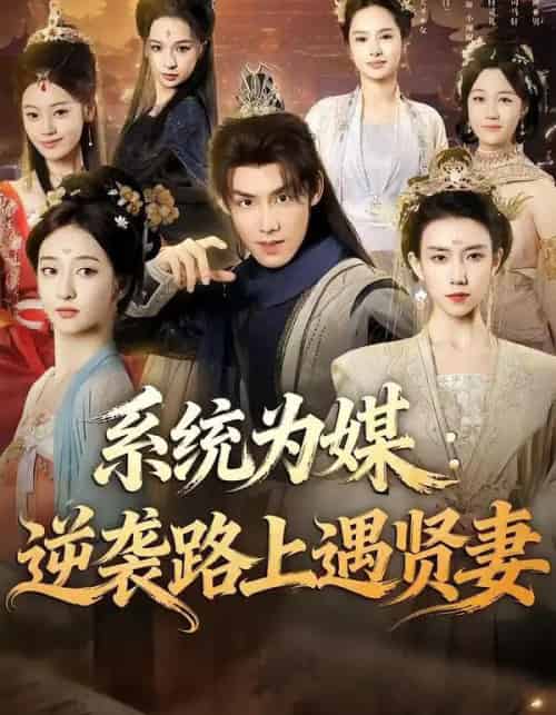 系统为媒：逆袭路上遇贤妻（71集全）林永炬＆修雨秀-初遇资源网
