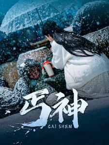 丐神(90集全)-初遇资源网