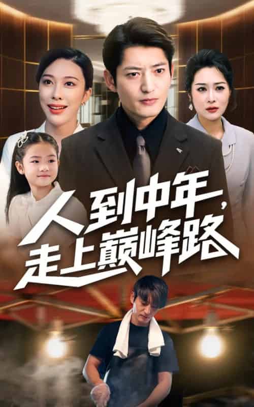 人到中年走上巅峰路（68集全）王淅冉＆郭磊-初遇资源网