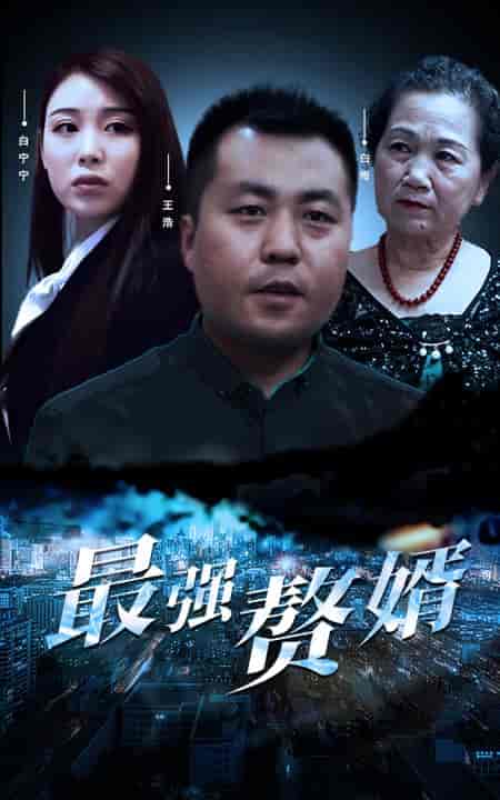 最强赘婿（80集）-初遇资源网