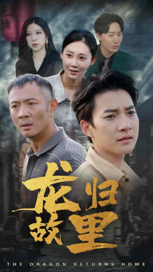 龙归故里(69集)-初遇资源网