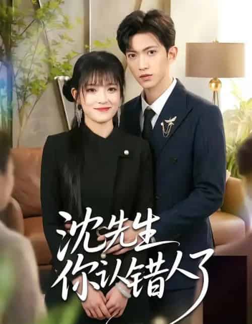 沈先生你认错人了（51集全）孙敬东＆周艺凝-初遇资源网