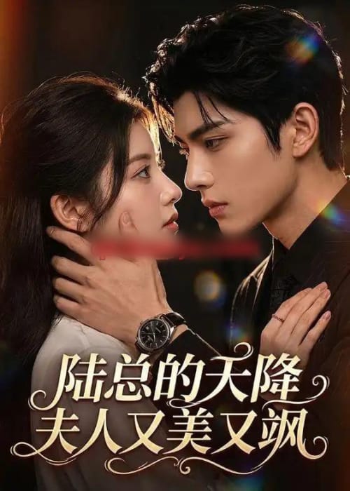 陆总的天降夫人又美又飒 陆总的天降夫人又美又飒
