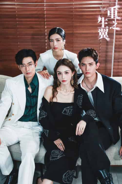 重生之翼（56集全）-初遇资源网