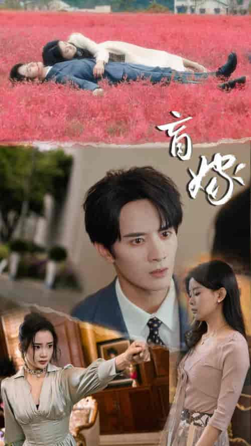 盲嫁（74集）陈冠峄＆陆姝含-初遇资源网