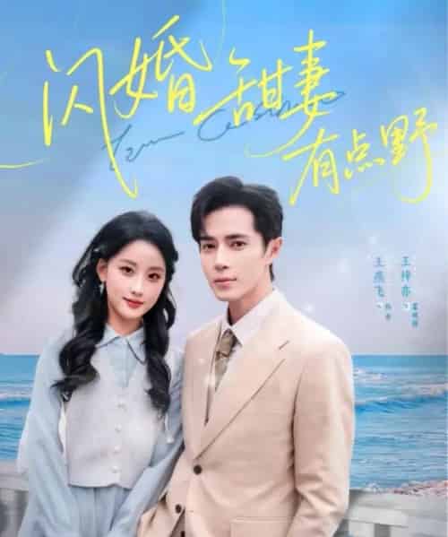 闪婚甜妻有点野（89集全）王梓亦＆王燕飞-初遇资源网