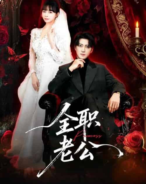 全职老公（60集全）李岩松＆卢巧-初遇资源网