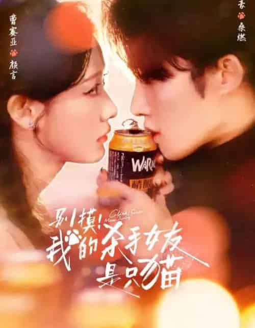 别摸!我的杀手女友是只猫(60集全)陈名豪&曹赛亚&潘文驰-初遇资源网