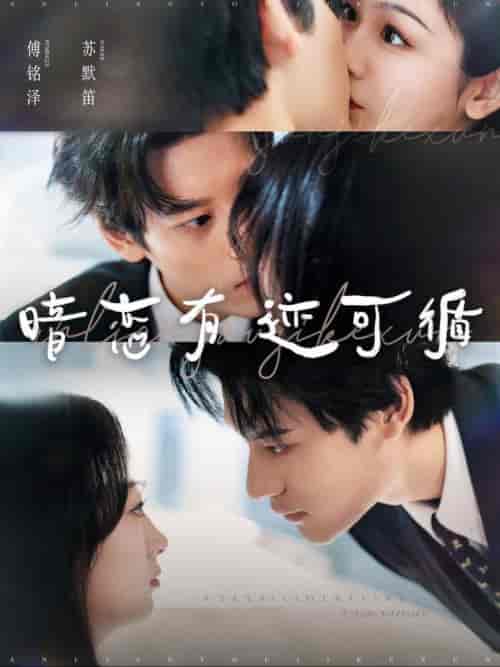 暗恋有迹可循（101集全）秦伟制＆田苗苗-初遇资源网