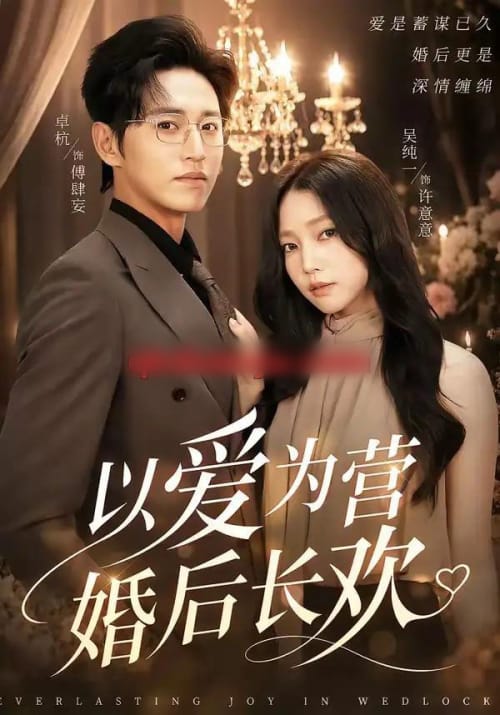 以爱为营婚后长欢 以爱为营婚后长欢