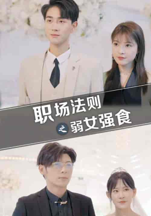 职场法则之弱女强食（83集全）孟宴辰＆李心悠-初遇资源网