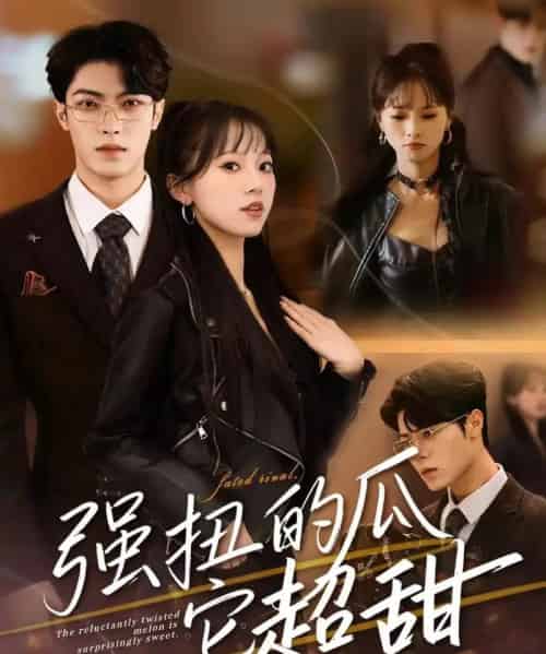 强扭的瓜它超甜（70集全）付琳琅＆贾馨雨-初遇资源网