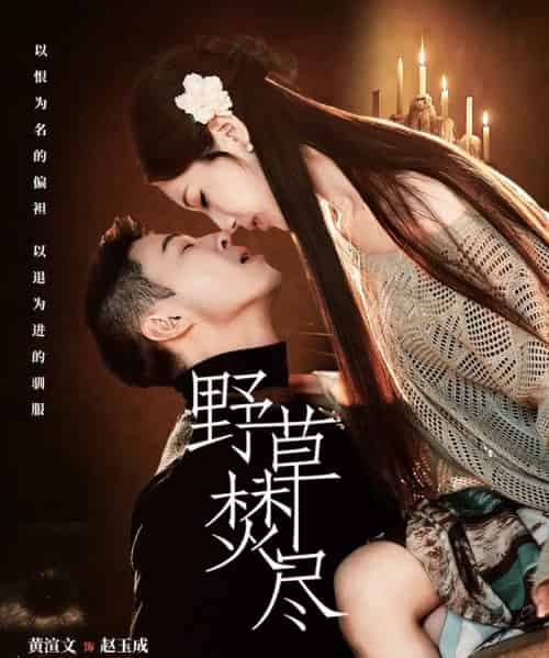 野草焚尽（74集全）黄渲文＆戚羽佳 - 夸克短剧