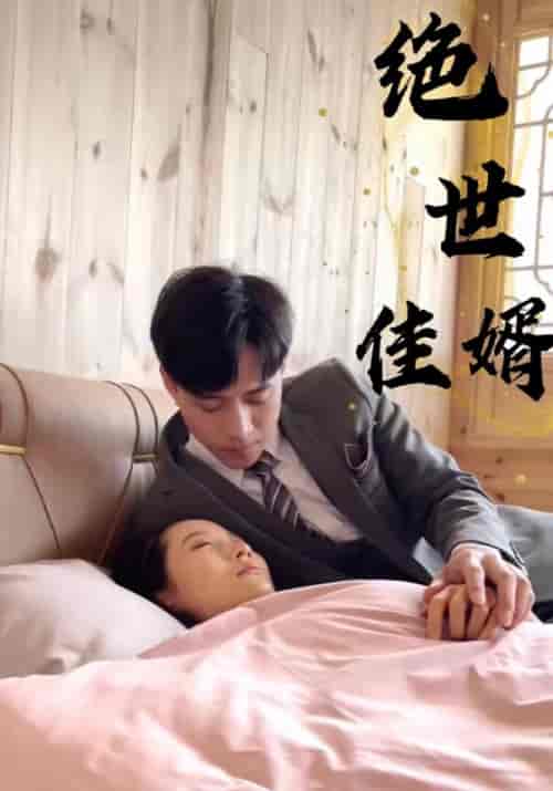 绝世佳婿（100集全）叶祖城＆王家蕊-初遇资源网