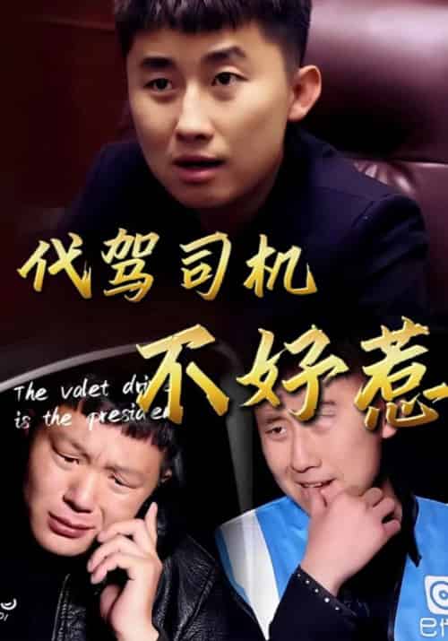 代驾司机不好惹（33集全）朱俊瀚＆婷婷 - 夸克短剧