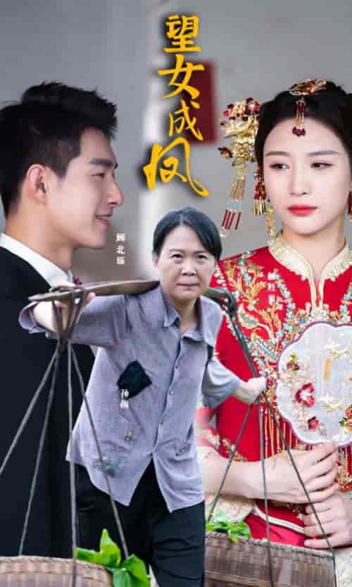 望女成凤(74集)-初遇资源网