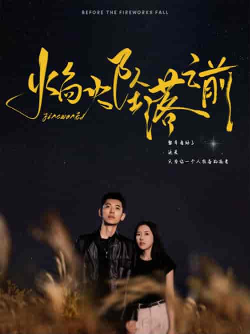 焰火坠落之前（99集全）辛润茜-初遇资源网