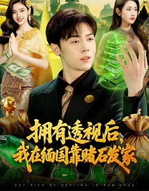 拥有透视后,我在缅国靠赌石发家(110集全)张如意&苏弈-初遇资源网