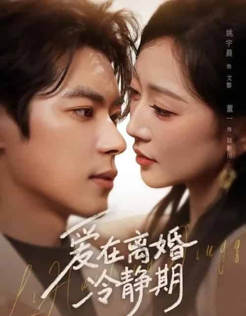 爱在离婚冷静期(73集全)董一&姚宇晨-初遇资源网