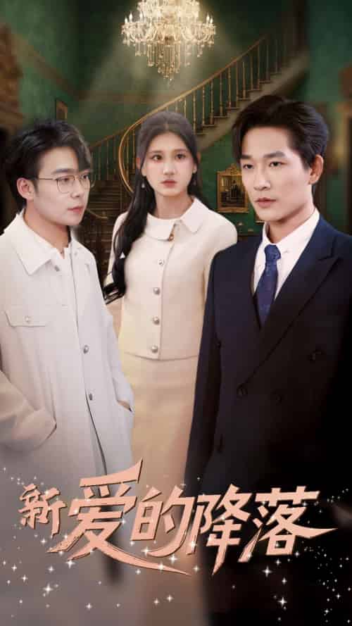 新爱的降落（48集全）张旋＆杨珊-初遇资源网