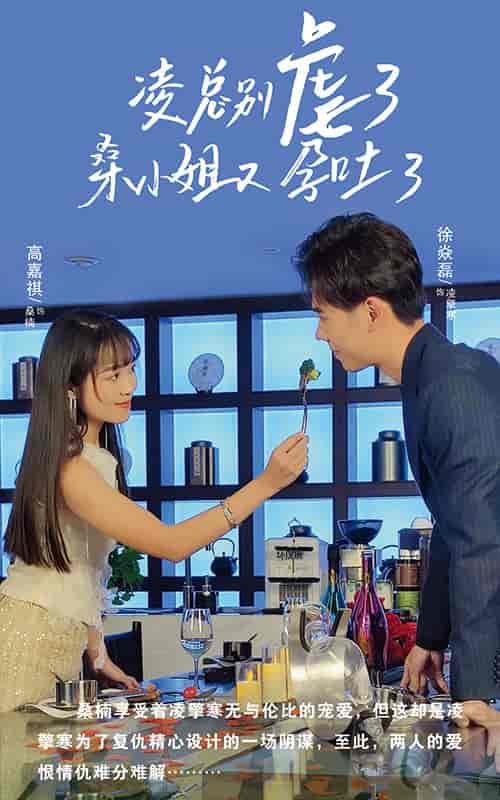 凌总别虐了桑小姐又吐了（102集）-初遇资源网