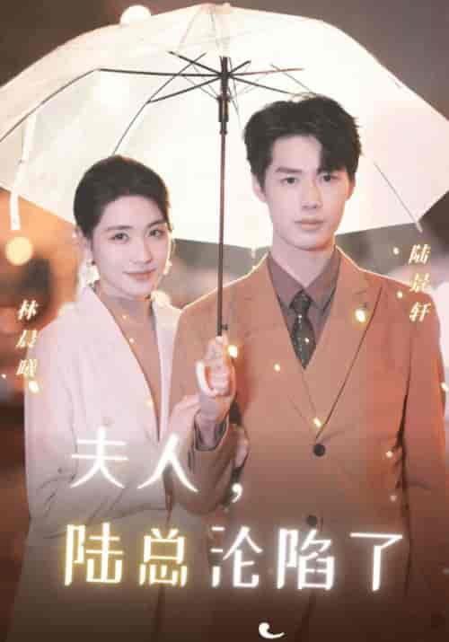 夫人，陆总沦陷了（18集）陆景轩＆林晨曦-初遇资源网