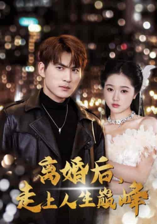 离婚后，走上人生巅峰（100集全）宁凡＆夏婉柔-初遇资源网