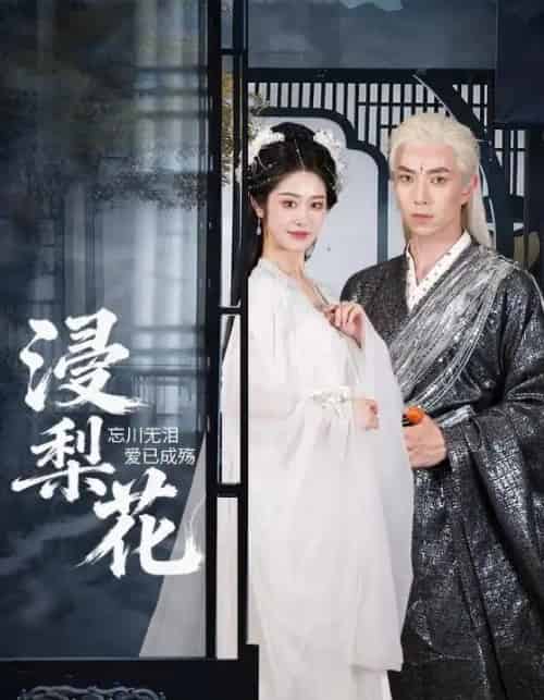 浸梨花（50集全）傅汉源＆戴琪萱-初遇资源网