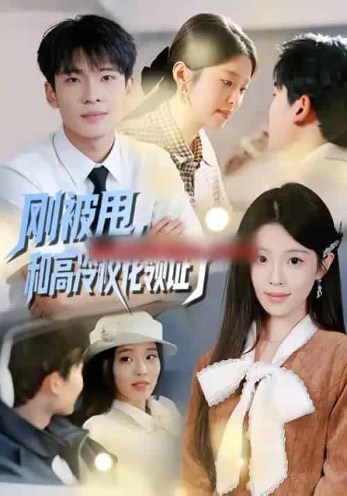 刚被甩，和高冷校花领证了（67集全）杜宇琪＆傅韶涵-初遇资源网