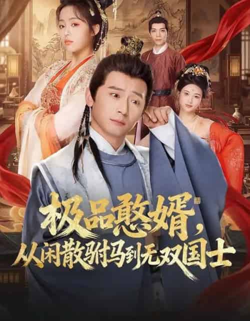 极品憨婿，从闲散驸马到无双国士（76集全）何其炜＆林思妤-初遇资源网