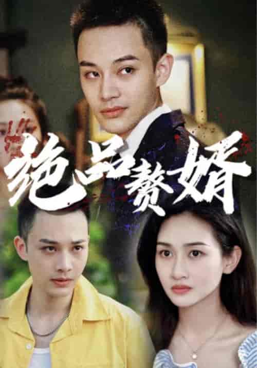 绝品赘婿（80集全）慕子期＆凌妙妙-初遇资源网