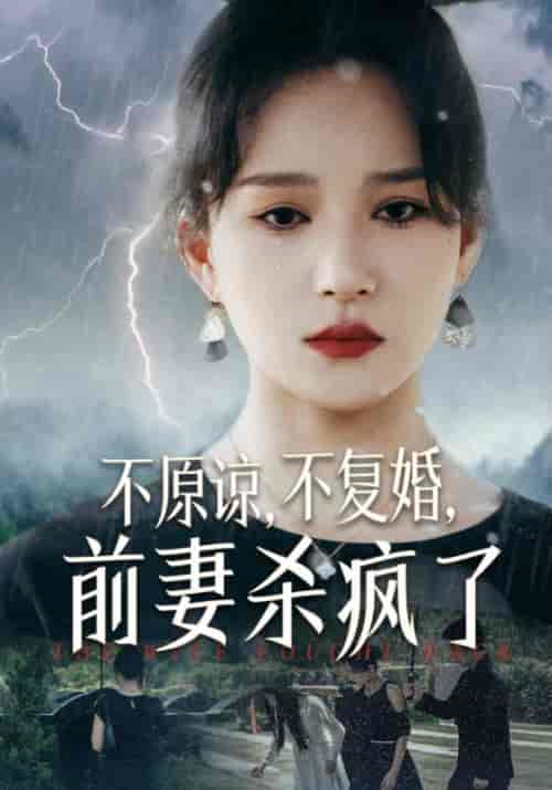 不原谅,不复婚,前妻杀疯了(34集全)霍启&宋慈-初遇资源网