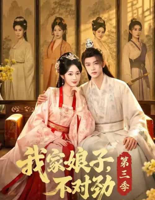 我家娘子，不对劲第三季（99集全）陈外＆鲁芳岐-初遇资源网
