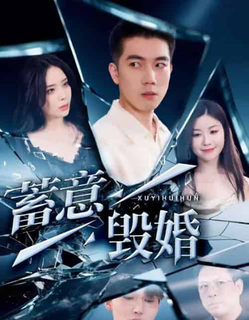 蓄意毁婚（51集）罗司纯-初遇资源网