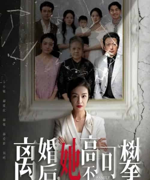 离婚后她高不可攀＆至亲之人伤我最深（67集全）岳子龙＆刘超-初遇资源网