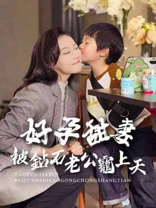 好孕甜妻被鉆石老公寵上天（80集全）陸瑾辰＆葉笙笙-初遇资源网