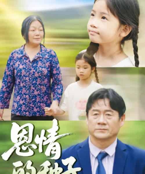 恩情的种子(29集)-初遇资源网