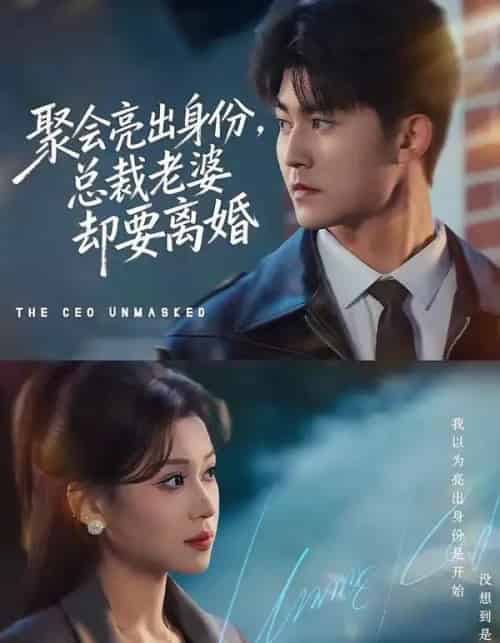 聚会亮出身份，总裁老婆却要离婚（81集全）梅子健＆任柏玉-初遇资源网