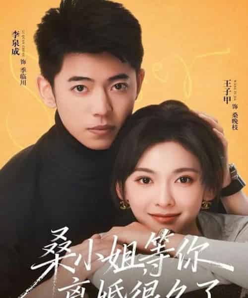 桑小姐,等你离婚很久了(70集全)李泉成&王子甲-初遇资源网